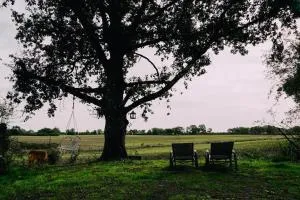 Eco-friendly Welness Tiny House in Liglet - Chalais
