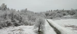 Sobe Ruscello 