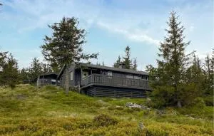 3 Bedroom Nice Home In Sjusjøen - Mesnali