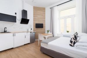 Studio Apartment - Radziwiłłowska 27