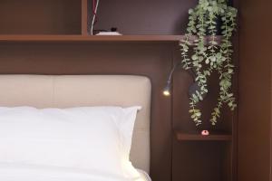 Primopiano - Bignami