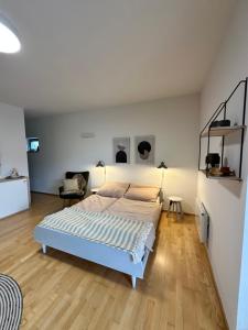 Apartmán U Venuše