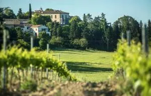 Mas de Puechredon - Savignargues