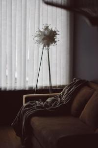 Seaport Apartments Pacifico B