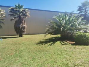 SUN1 ALBERTON