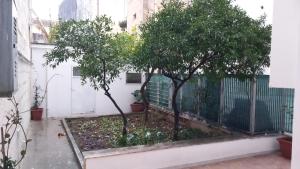 Centrale con giardino segreto