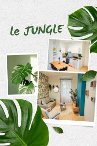 Appartements a theme : photos des chambres