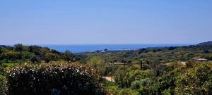 Maisons de vacances Bergerie A Sapara : photos des chambres