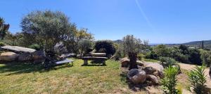 Maisons de vacances Bergerie A Sapara : photos des chambres