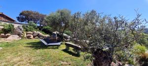 Maisons de vacances Bergerie A Sapara : photos des chambres