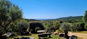 Maisons de vacances Bergerie A Sapara : photos des chambres