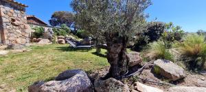 Maisons de vacances Bergerie A Sapara : photos des chambres