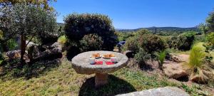 Maisons de vacances Bergerie A Sapara : photos des chambres