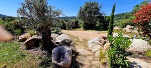 Maisons de vacances Bergerie A Sapara : photos des chambres