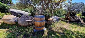 Maisons de vacances Bergerie A Sapara : photos des chambres