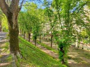 Appartements Appartement A Beholding Sight : photos des chambres