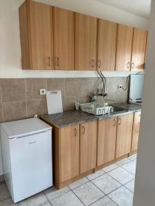 Apartman LENKA