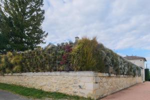 B&B / Chambres d'hotes Le jardin de Gassiot : photos des chambres