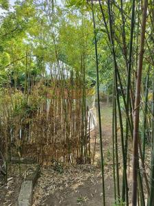 Yourte à La Campagnette