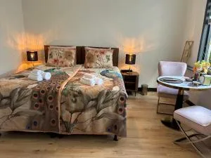 Bed & Breakfast Achter de Haven - 弗利辛恩