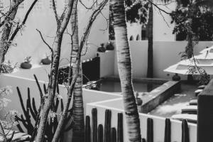 Unique Suite Twin Room in Exclusive Boutique Hotel Cabo