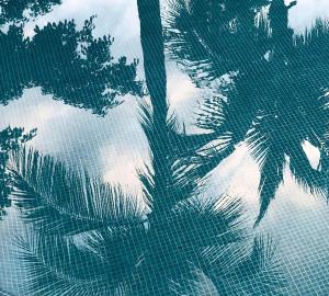 4 Charming Suite King Rooms in Luxurious Boutique Hotel