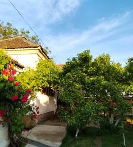 Bistrički mir 1 - 彼得罗瓦茨纳米拉维