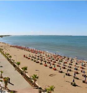 Princ Apartment studio