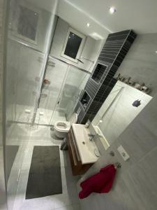 Danube house, Belgrade
