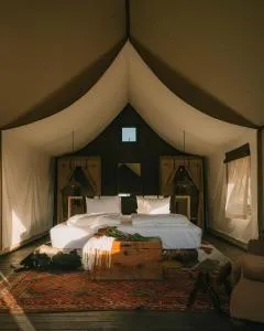 PUQIO - 卡瓦纳科德