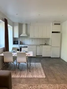 Nice new apartment - Harestad