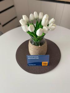 Central luxury apartment Iasi