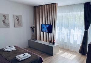 Central luxury apartment Iasi