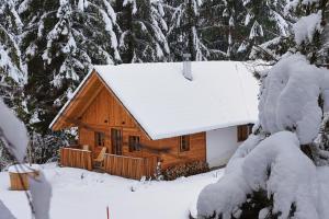 Alpine Retreat Apartments Šurc 