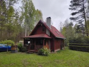 Klimatyczny domek w lesie przy jeziorze - Penglitten