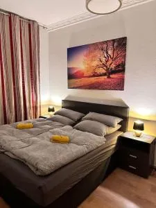 City Altstadt Appartement in unmittelbarer Nähe zu Saale und Marktplatz mit privatem Parkplatz - Nietleben