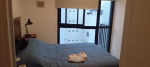 Hermoso en Plaza Alberdi