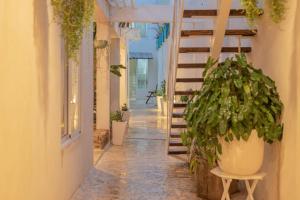 3 Studios at Casa Areito