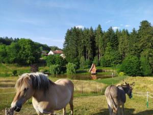 Maisons de vacances Gite Moyenmoutier, 2 pieces, 4 personnes - FR-1-589-635 : photos des chambres