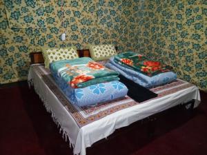 Garjha Hill Camp Jispa