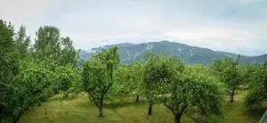 Kremena - Oslavy Charne