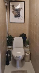 Viscosa Holiday Apartment