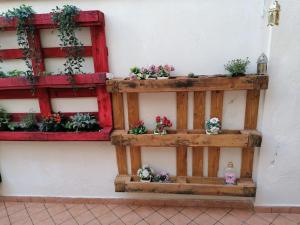 Nest of love