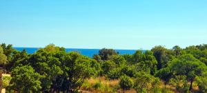 Villa di Favona 4 chambres piscine privée