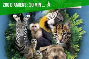 Le chalet romantique, SPA, Écran cinéma, Lit king size, day use, 10 min centre