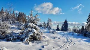 Übernachten im Café Restaurant Vedder
