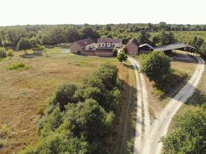 Maisons de vacances Domaine Solognot avec Bar, Sauna, Jacuzzi, Piscine : photos des chambres