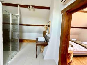 Maisons de vacances Domaine Solognot avec Bar, Sauna, Jacuzzi, Piscine : photos des chambres