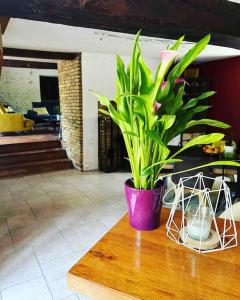 Maisons de vacances Longere Berrichonne au coeur des vignes : photos des chambres