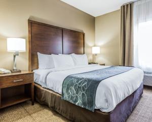 King Suite with Sofa Bed - Non-Smoking room in Comfort Suites at Isle of Palms Connector